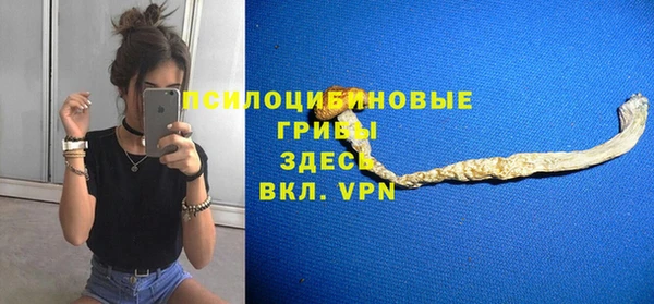 ПСИЛОЦИБИНОВЫЕ ГРИБЫ Абинск