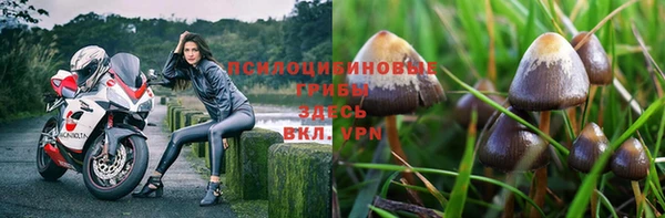 ПСИЛОЦИБИНОВЫЕ ГРИБЫ Абинск