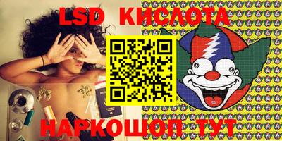 крисы Заводоуковск