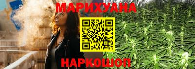 крисы Заводоуковск