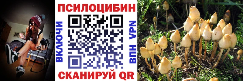 Галлюциногенные грибы Psilocybe  Назрань 