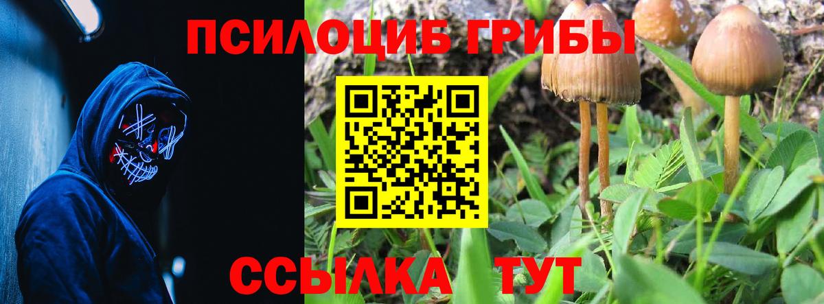 Назрань  Галлюциногенные грибы ЛСД  Псилоцибиновые грибы MAGIC MUSHROOMS  Вход с VPN 